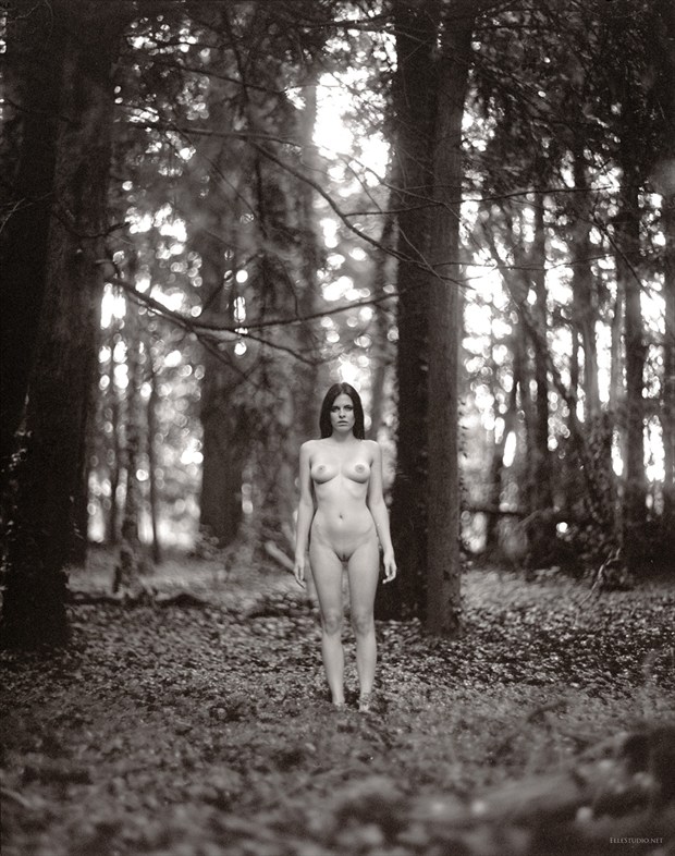 Earthed Artistic Nude Photo by Photographer Fabien Queloz