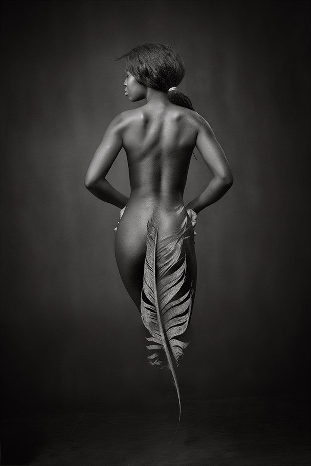 Ebony Feather Artistic Nude Artwork by Photographer Rossomck