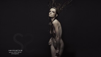 Echo Artistic Nude Photo by Photographer SENSUALICA