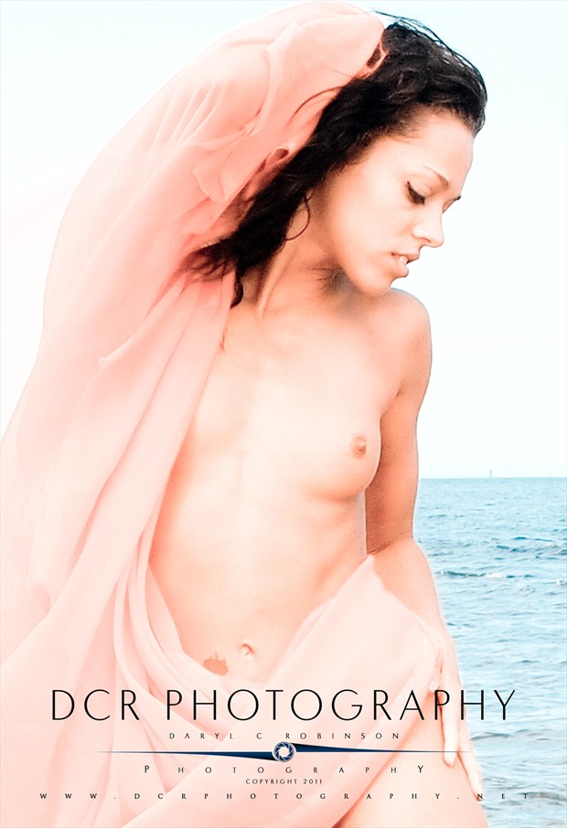 Ellie L Artistic Nude Photo by Photographer DCR Photography