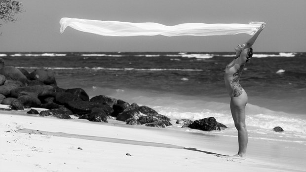 Embrace the Wind Artistic Nude Photo by Photographer Opp_Photog