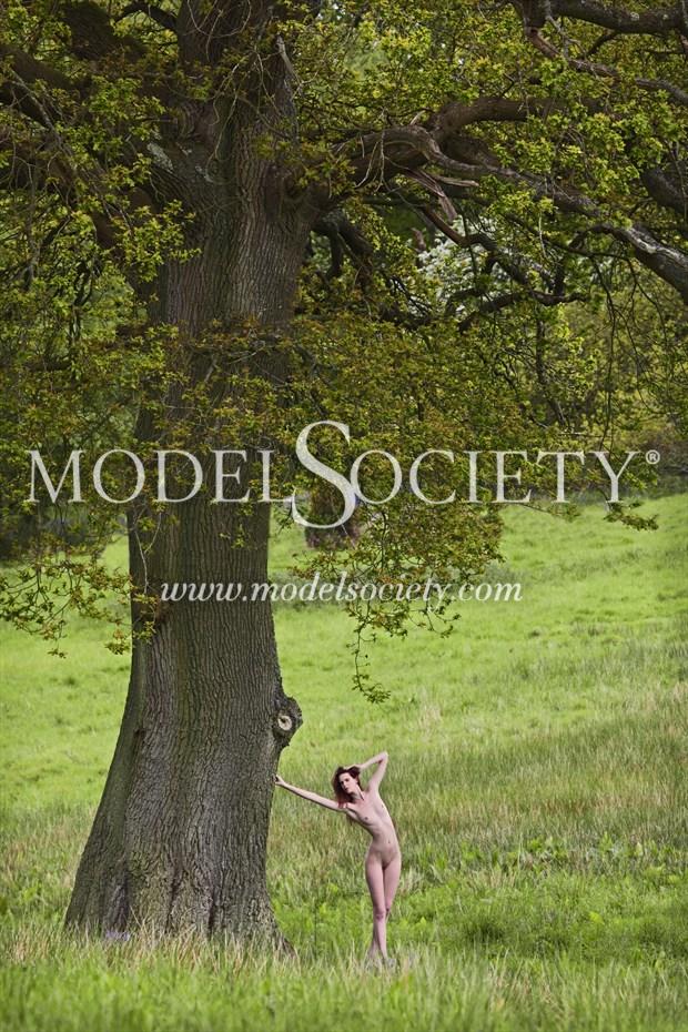 English Oak Nude Artistic Nude Photo by Photographer Micky Thompson