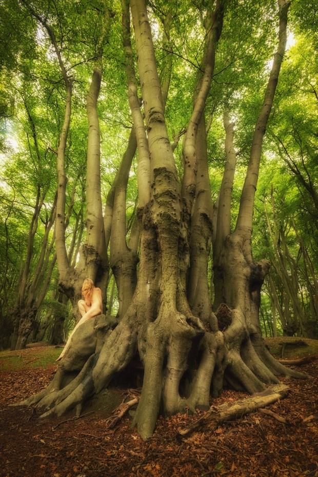 Epping Beech Altar Artistic Nude Photo by Photographer TreeGirl