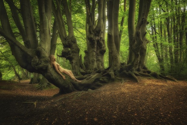 Epping Forest Restoration Nature Photo by Photographer TreeGirl