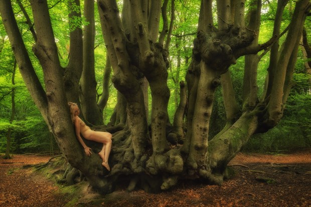 Epping Forest Secret Nature Photo by Photographer TreeGirl
