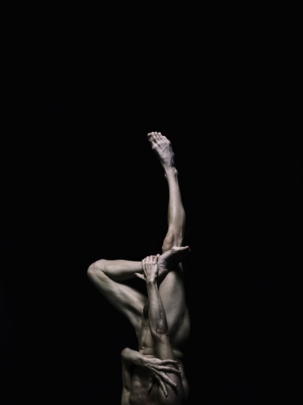 Erect, with a twist Artistic Nude Photo by Model Lars