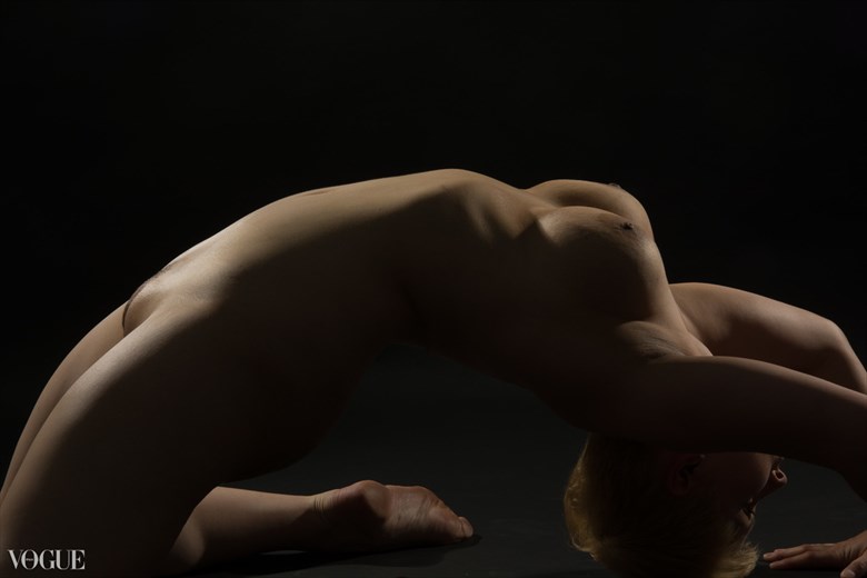 Erotic Figure Study Photo by Photographer STUDIO2107