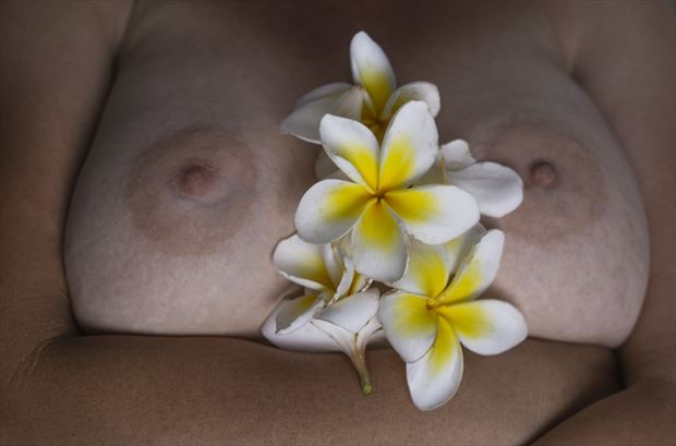 Erotic flowers Erotic Artwork by Photographer Raffs Photography