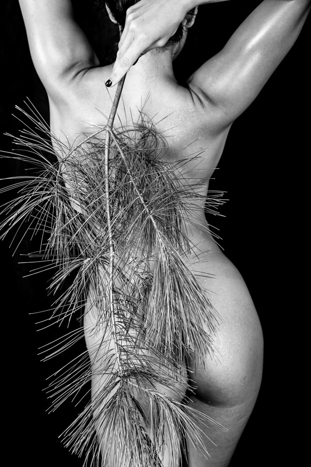 Eva_Luna with Fern Artistic Nude Photo by Photographer lancepatrickimages