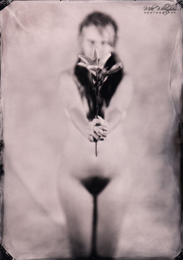 Evelyn with Lily   Wet plate on 5x7 tintype Artistic Nude Photo by Photographer Mike Willingham