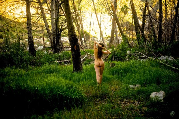 Everything The Sun Touches Is Yours Artistic Nude Photo by Photographer Muse Evolution Photography