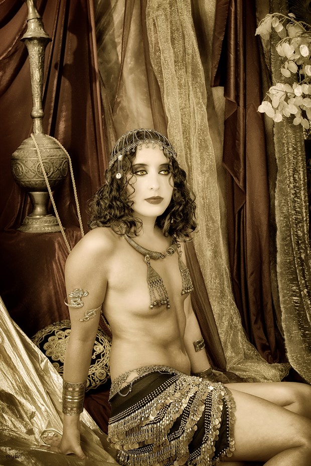 FAIR MAIDEN Artistic Nude Photo by Photographer Mykel