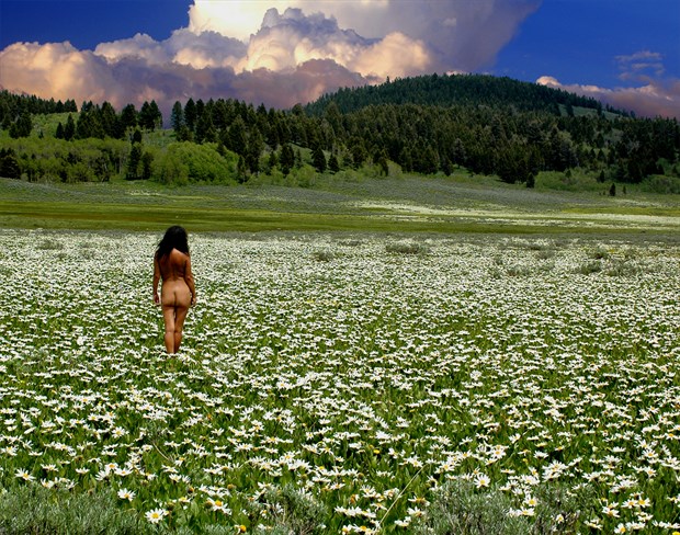 FIELD OF DREAMS Artistic Nude Photo by Photographer Rare Earth Gallery