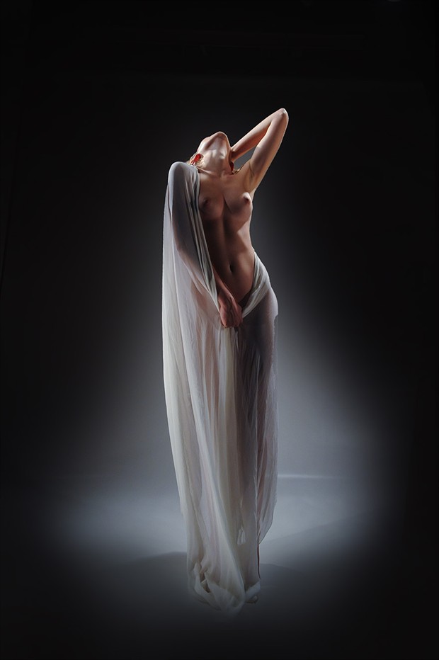 Fabric,light and a beautiful body Artistic Nude Photo by Photographer pmurph