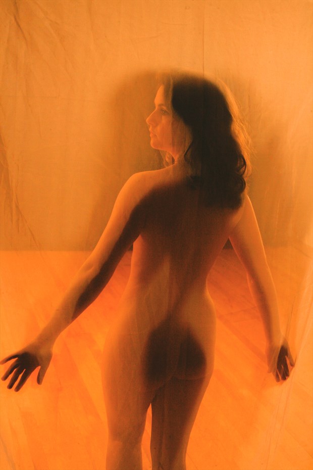 Fabric 9 Artistic Nude Photo by Photographer Matthew Upson