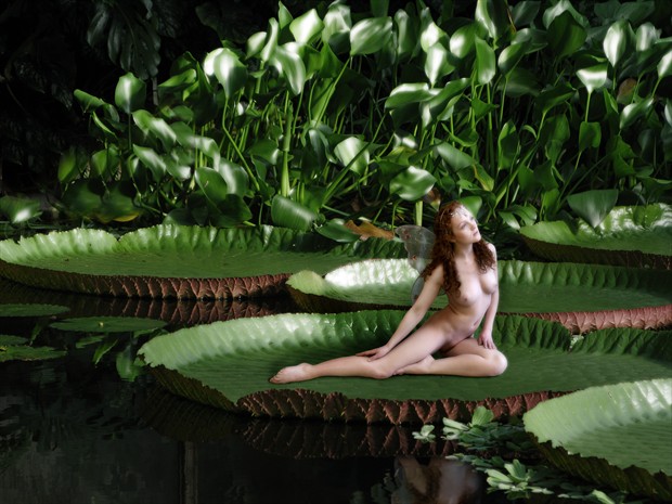 Fairy (1) Artistic Nude Artwork by Photographer Jim Furness