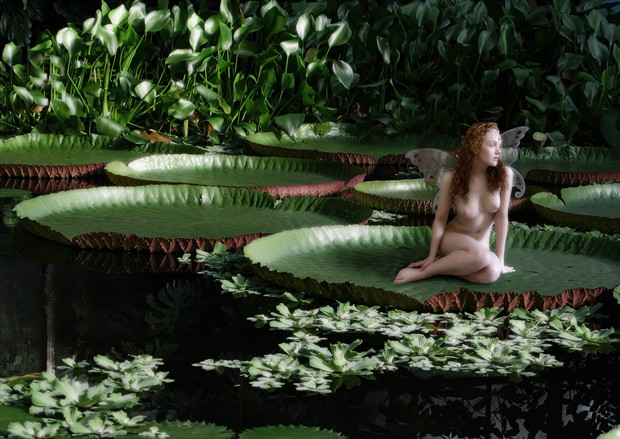 Fairy (2) Artistic Nude Artwork by Photographer Jim Furness