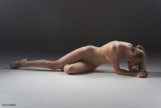 Fallen Angel Artistic Nude Photo by Photographer Slim