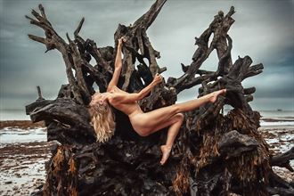 Fallen Artistic Nude Photo by Model Selkie