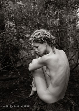 Faye Yerbury Artistic Nude Photo by Model Fredau