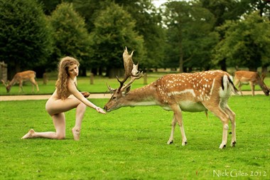 Feeding the Deer by Nick Giles Artistic Nude Photo by Model Jen Somerfield