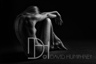 Femenine Form Artistic Nude Photo by Photographer David Humphrey