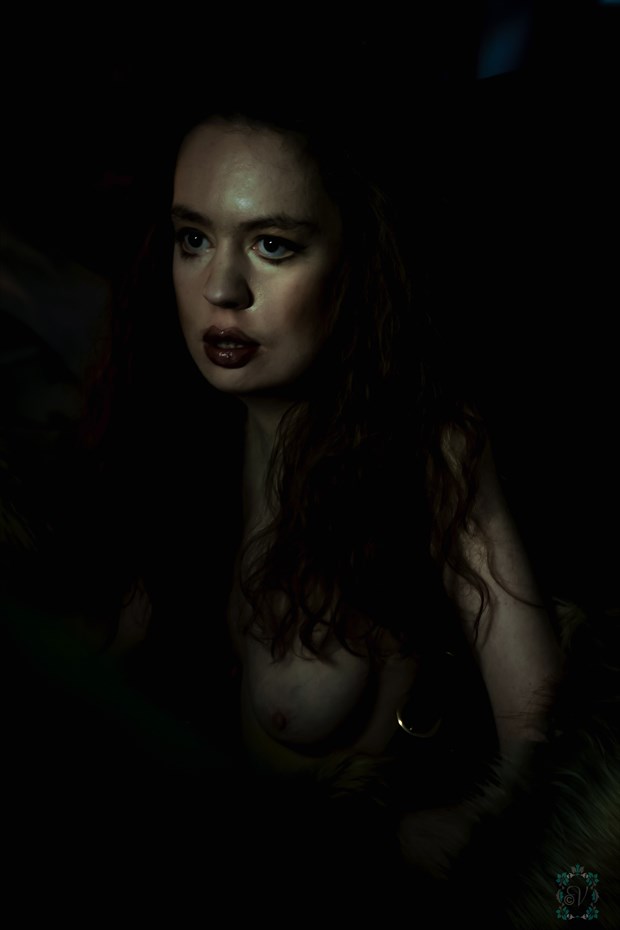 Feral Nocturne II Artistic Nude Photo by Model Jocelyn Woods