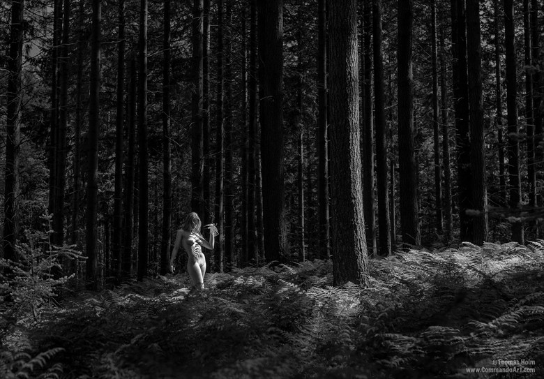 Fern Land Artistic Nude Photo by Photographer CommandoArt