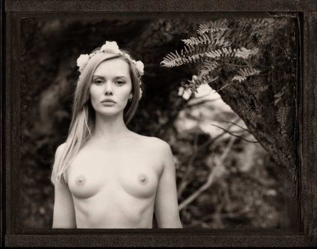 Fern Maiden Artistic Nude Photo by Photographer RayRapkerg