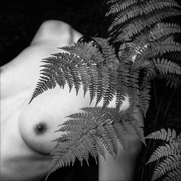 Fern Nude Artistic Nude Photo by Model Daisy Von