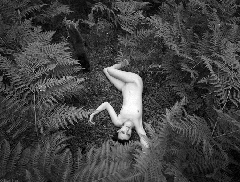 Fern Valley Artistic Nude Photo by Photographer Ron Skei (RonChez)