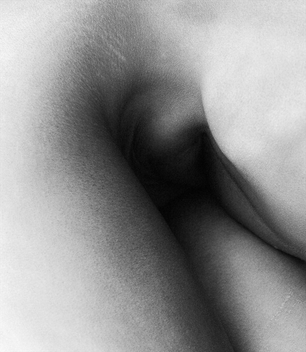 Figure Study, folded at hip Artistic Nude Photo by Photographer Lumin
