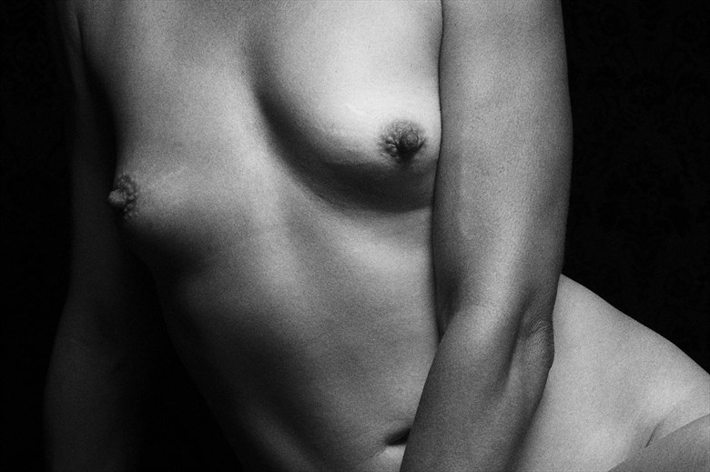 Figure Study %2328 Artistic Nude Photo by Photographer TheBody.Photography