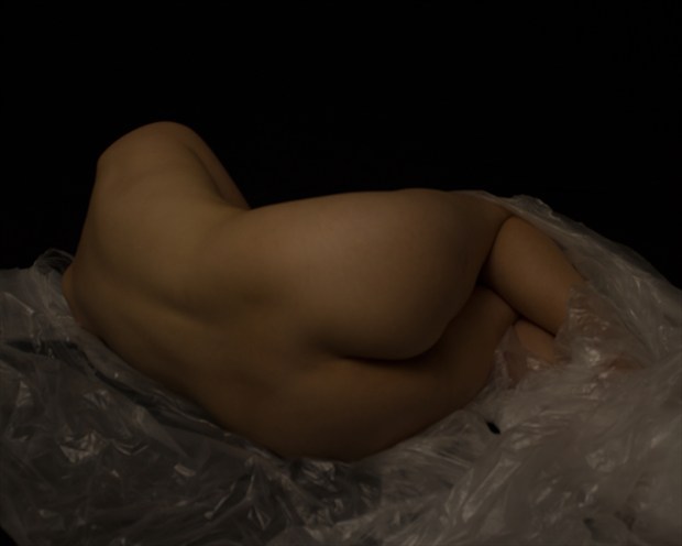 Figure Study   Amy Artistic Nude Photo by Photographer ShadowandLightPhotos