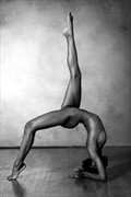 Figure Study 2 Artistic Nude Photo by Photographer Risen Phoenix