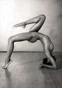 Figure Study Artistic Nude Photo by Photographer Risen Phoenix