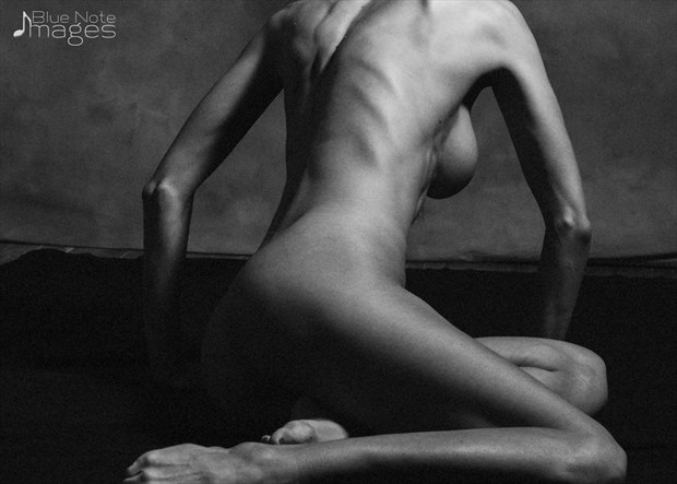 Figure Study Photo by Photographer Bluenoteimages