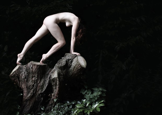 Figure on tree stump Artistic Nude Photo by Photographer RLux