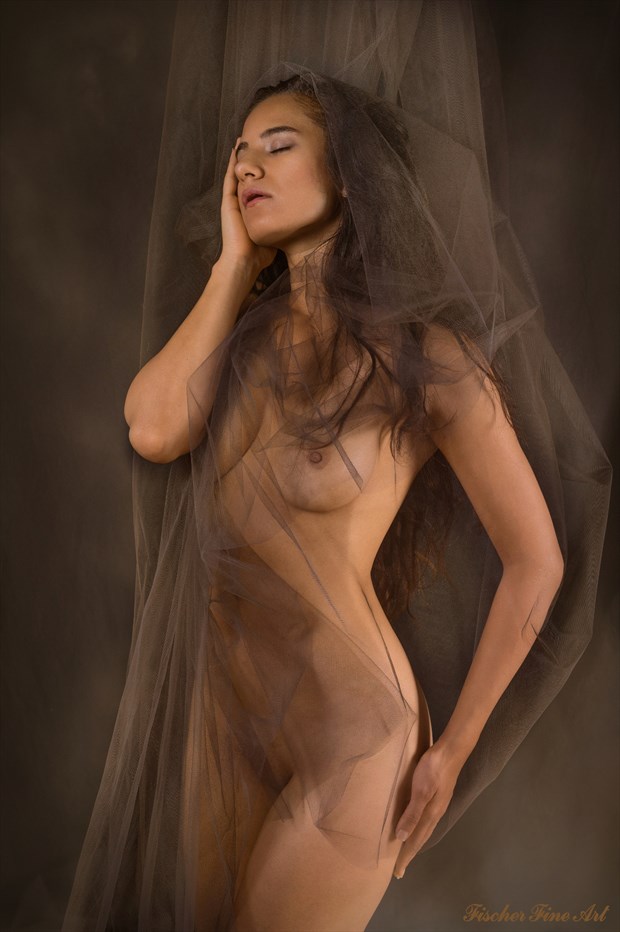 Figure study Artistic Nude Photo by Photographer Fischer Fine Art