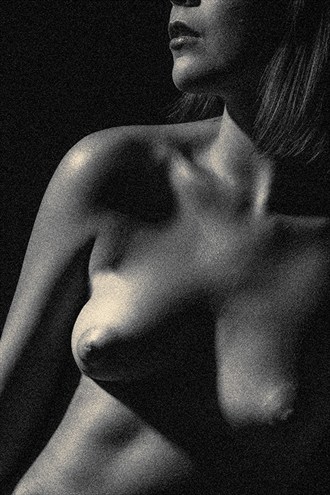 Figure study in sepia Artistic Nude Photo by Photographer stephen ehre