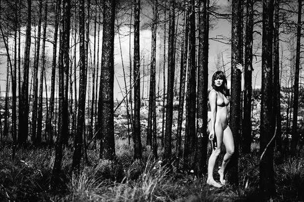 Fin art at Fire zone %C3%84ngelsberg Artistic Nude Photo by Photographer BodhiAnand