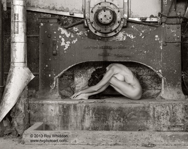 Fitting In Artistic Nude Photo by Photographer Roy Whiddon