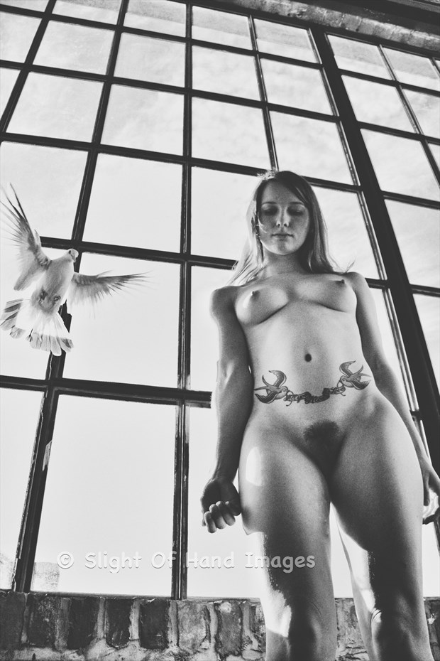 Flight Artistic Nude Artwork by Photographer Slight Of Hand Images
