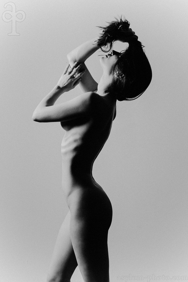 Flip Artistic Nude Photo by Model MelissaAnn
