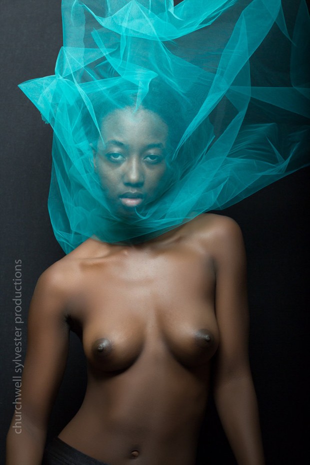Flow Artistic Nude Artwork by Model Nyasia Sylvester