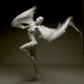 Fly Artistic Nude Photo by Photographer John Evans
