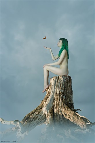 Fly Away Home Artistic Nude Artwork by Photographer Thornback