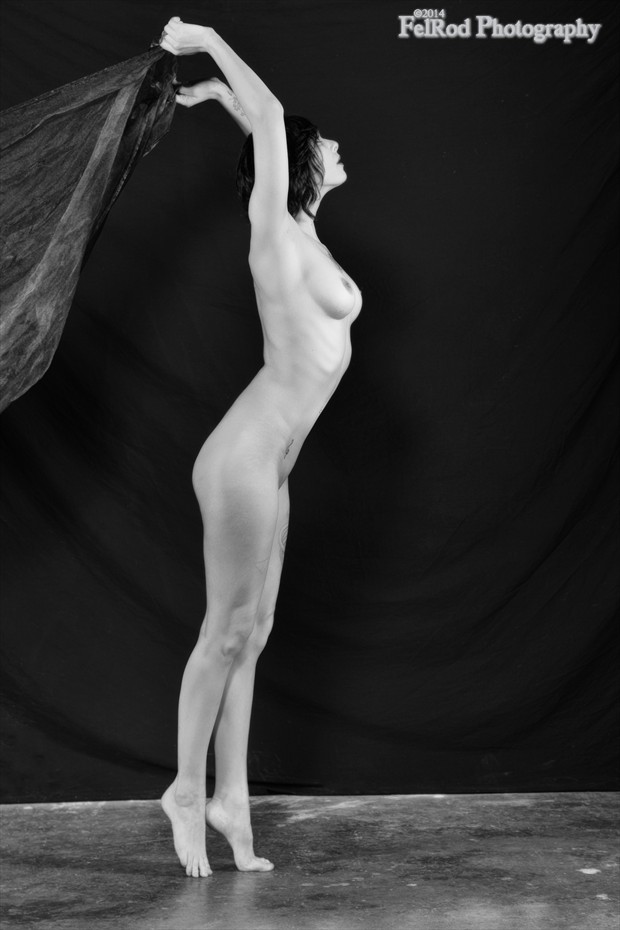 Fly With Me. Artistic Nude Photo by Photographer FelRod 