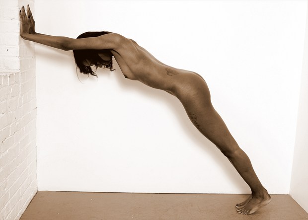 Flying buttress Artistic Nude Photo by Photographer silverline images