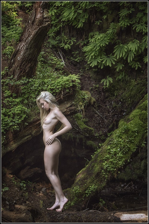 Forest Green Artistic Nude Photo by Photographer Magicc Imagery